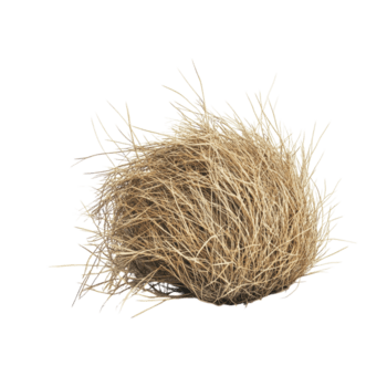 Tumbleweed